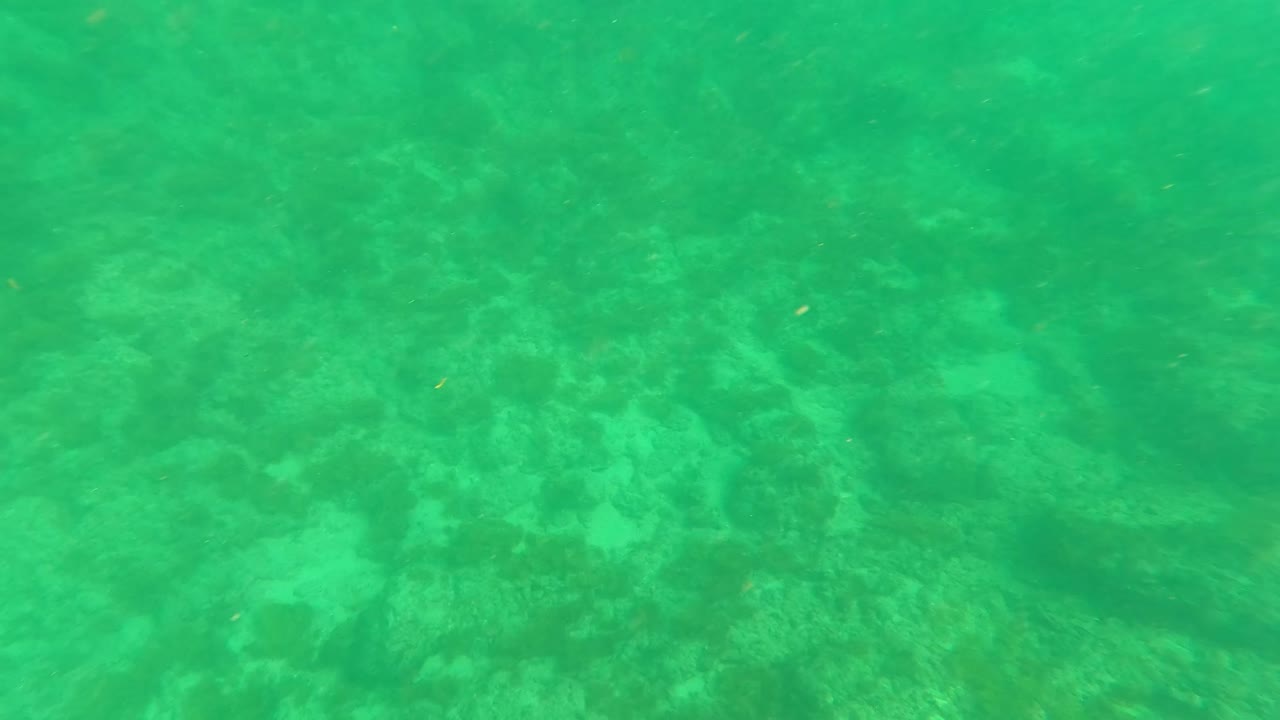 A softer green underwater view shows the algae-covered seabed in Los Barriles, Baja California Sur, with rocks receding through the water and no visible people.