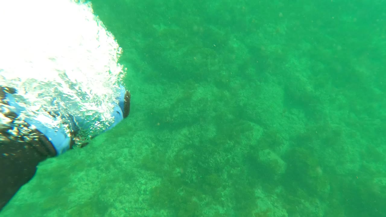 A swimmer's arm and bright splash enter the lower frame over the rocky seabed in Los Barriles, Baja California Sur, with no face or recognizable person visible.