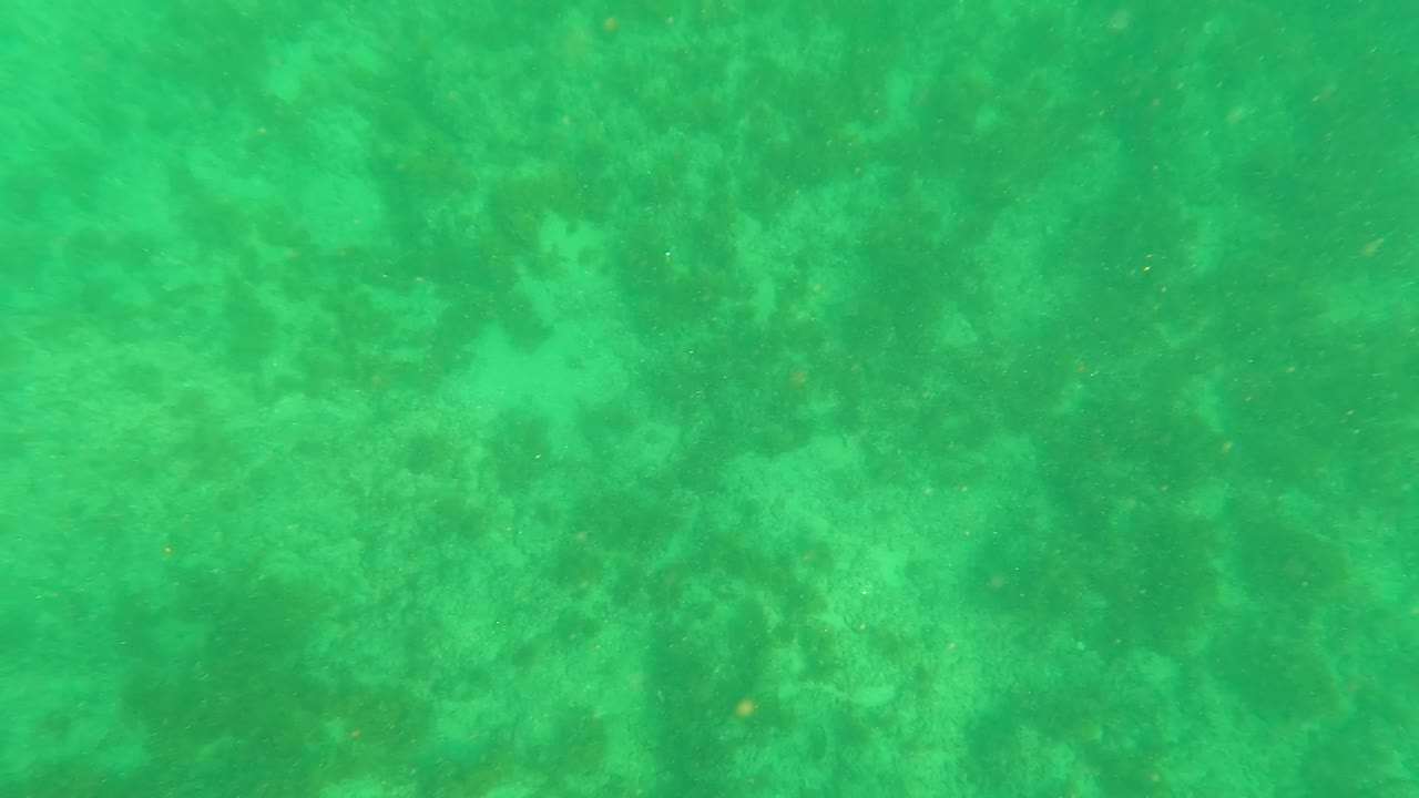 Second frame shows turquoise-green water over a patchy ocean floor in Los Barriles, Baja California Sur, with no visible people.