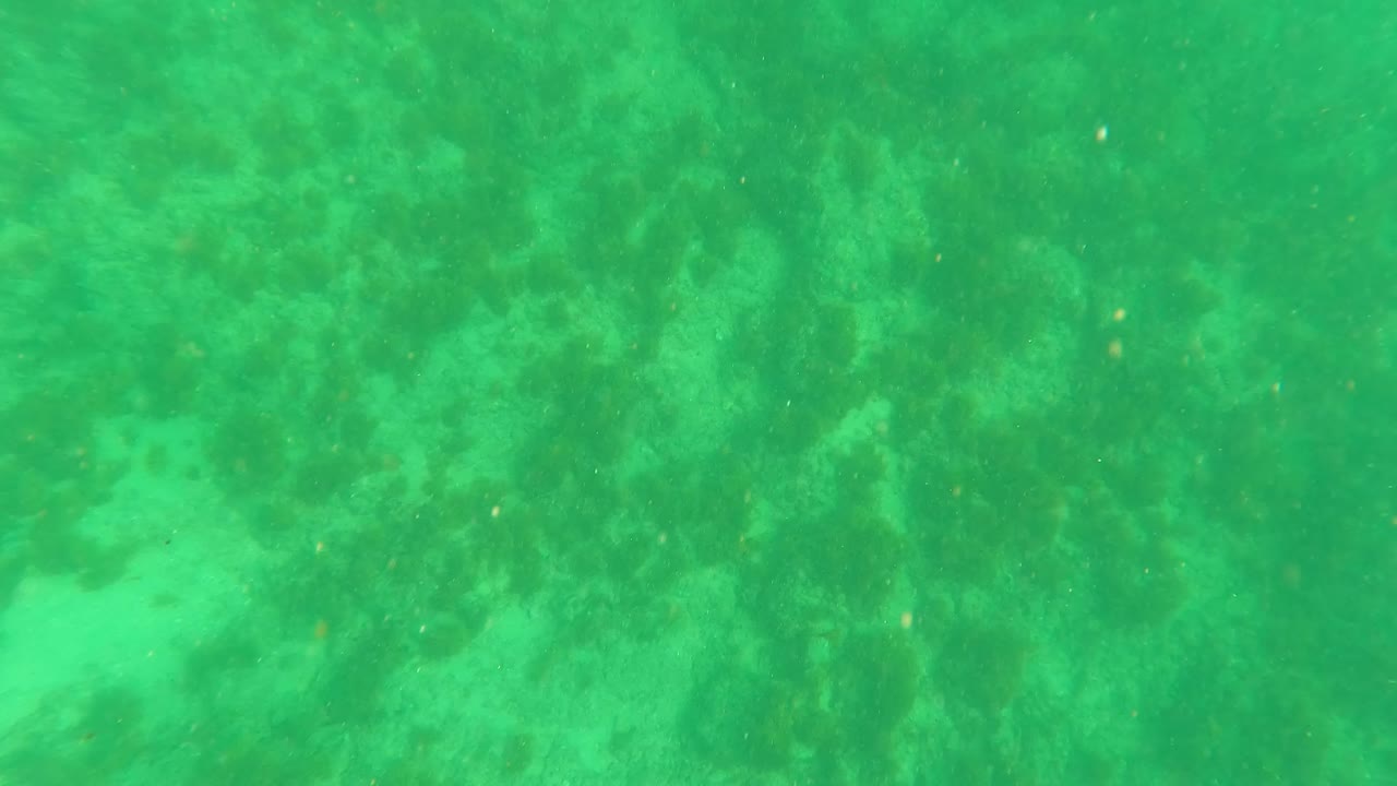 Fourth frame shows clear green water over an uneven coral and algae seabed in Los Barriles, Baja California Sur, with no visible people.