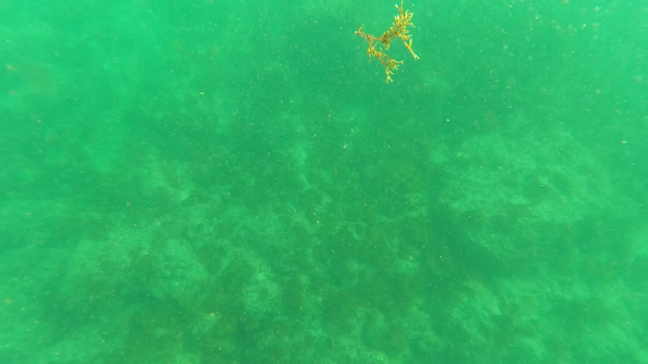 Green underwater view with rocky seabed below the surface