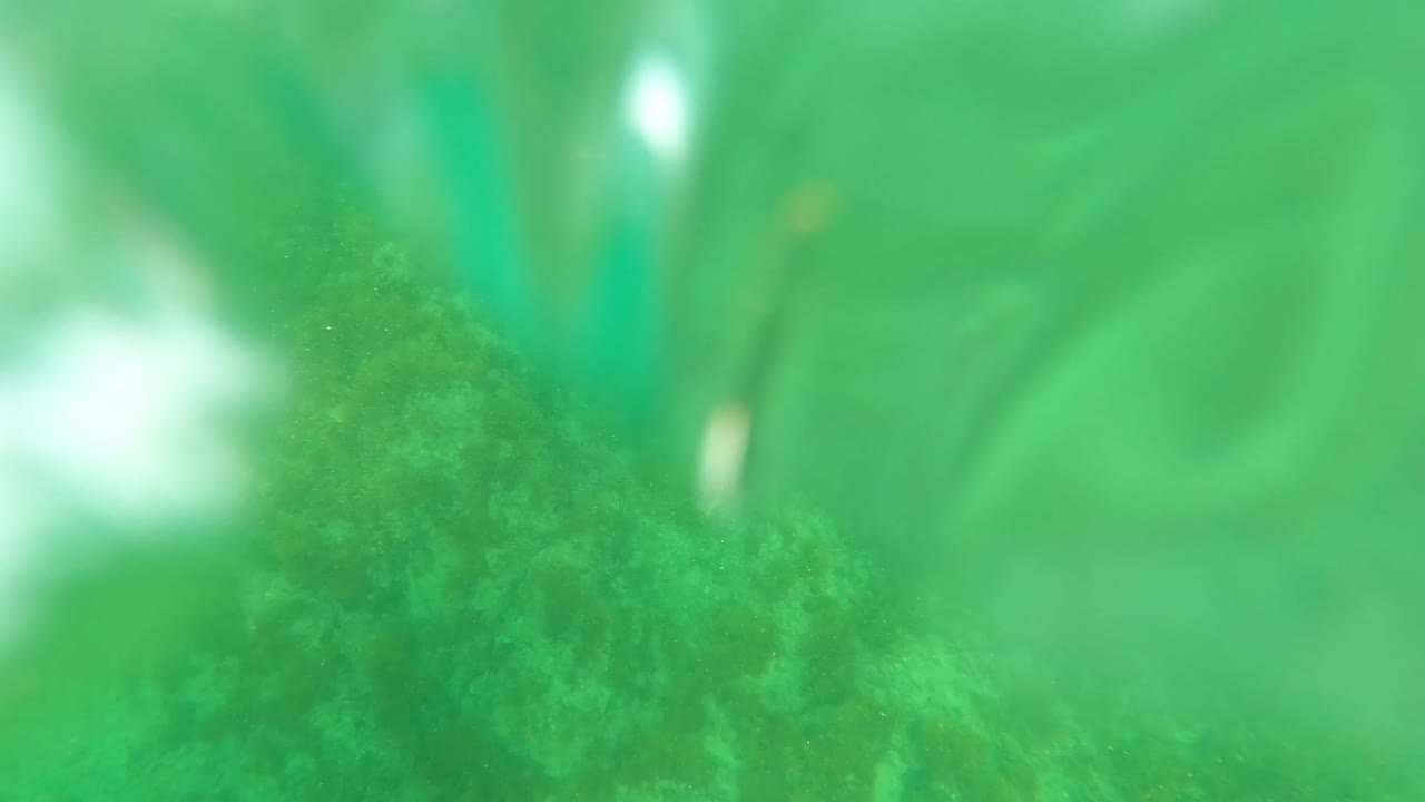 Green underwater view in Los Barriles with blurred foreground water and faint seabed texture beginning to show through, with no visible people.