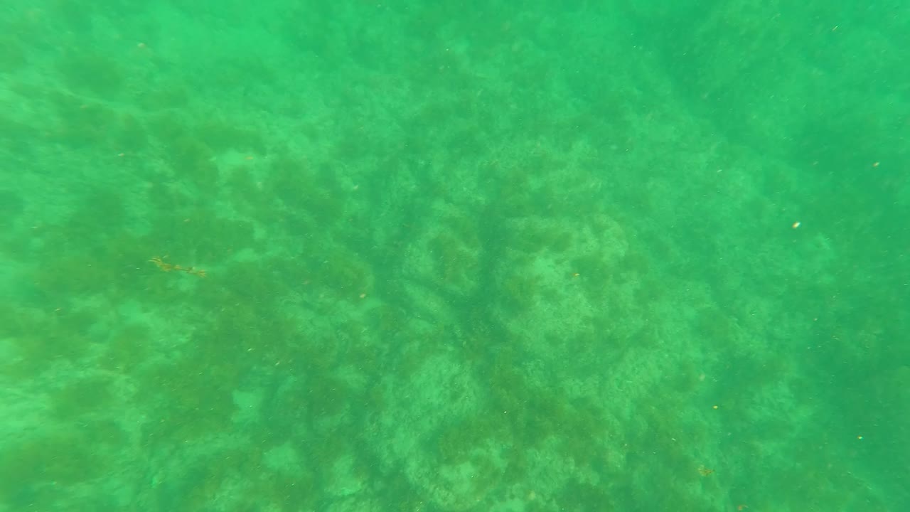 Clearer green underwater frame from Los Barriles showing rocky and sandy seabed texture through suspended haze, with no visible people.