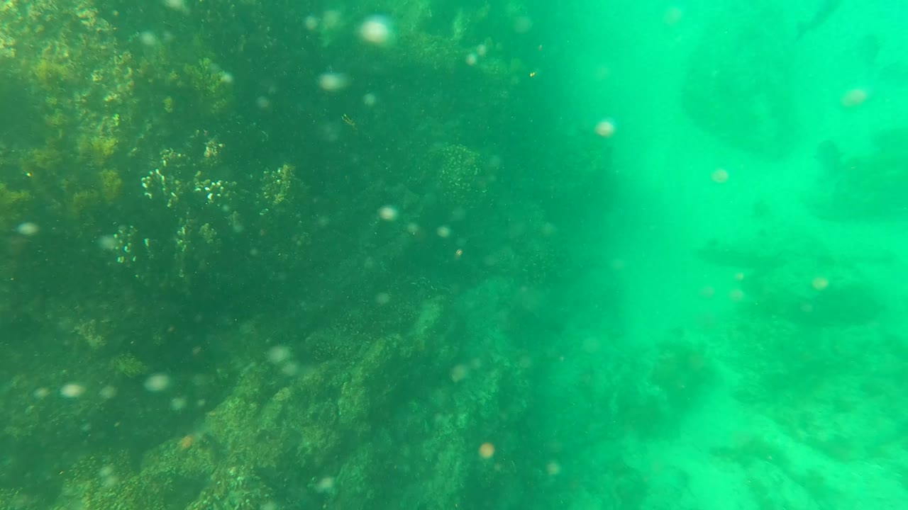 Algae-coated rocks fill the foreground and midground in Los Barriles, Baja California Sur, with suspended particles in green water and no visible people.