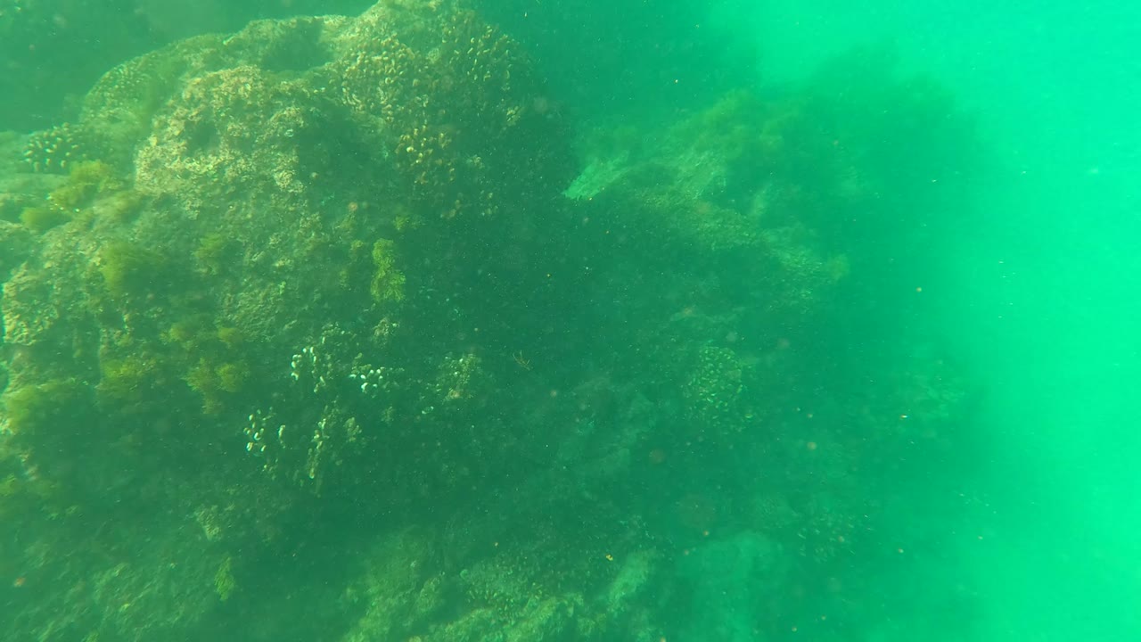 A rocky outcrop sits in green underwater haze in Los Barriles, Baja California Sur, with a small fish near the upper right and no visible people.