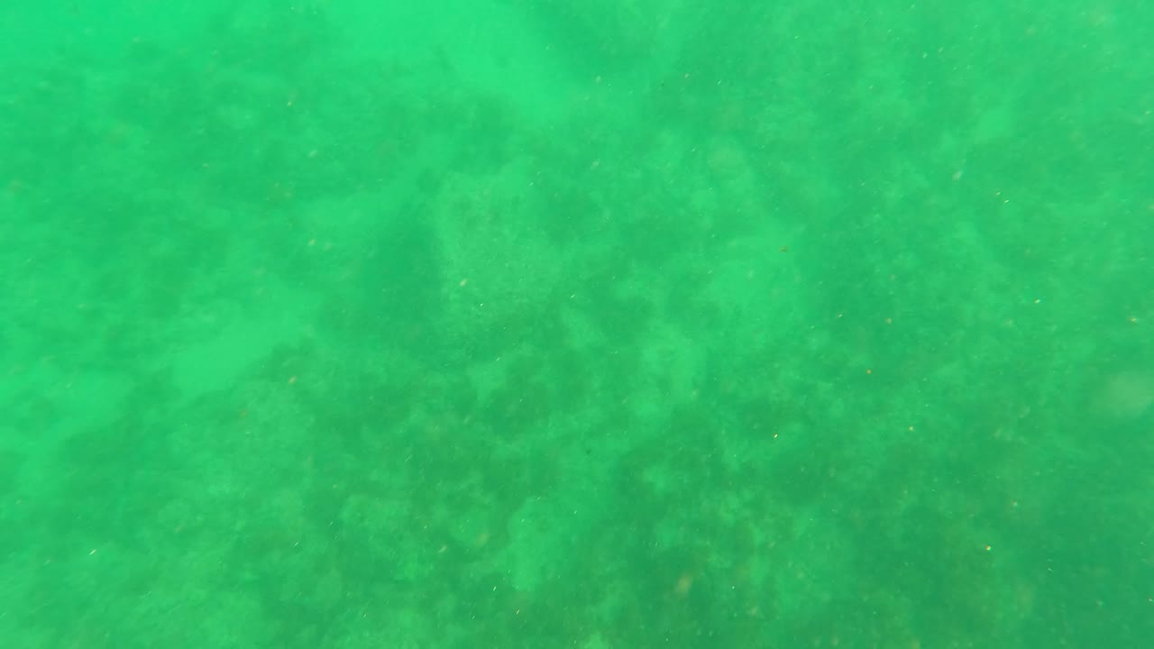 Green underwater view of a rocky seabed with floating particles.