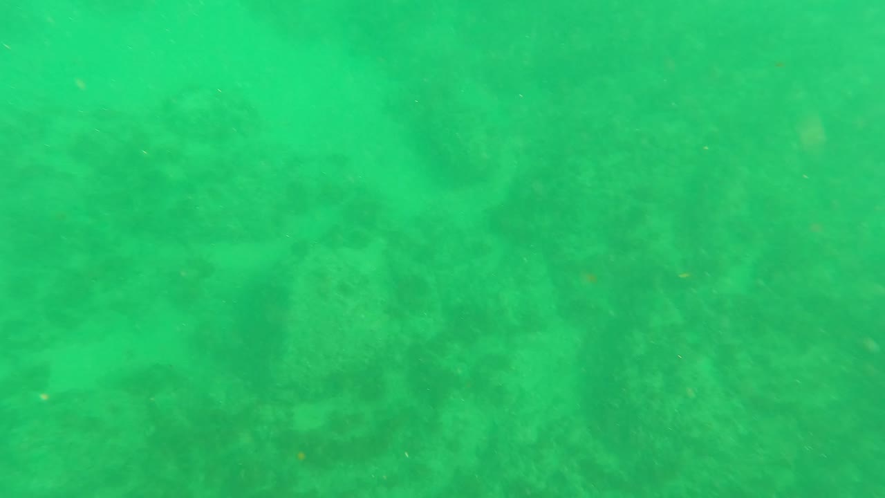 A slightly shifted underwater view in Los Barriles shows rock shapes softened by green water haze, with no visible people.