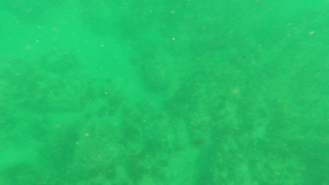 Mid-clip frame from Los Barriles with a rocky seabed behind a brighter green band of water and no visible people.