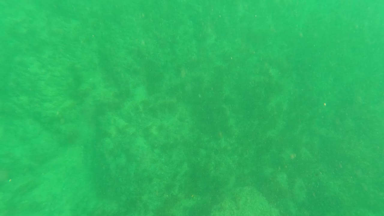 Later frame in the Los Barriles underwater clip showing the rocky bottom through green water with fine particles and no visible people.