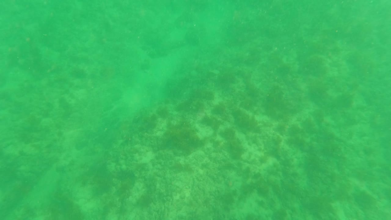 Early frame from Los Barriles showing clear green water and mottled coral seabed detail, with no visible people.