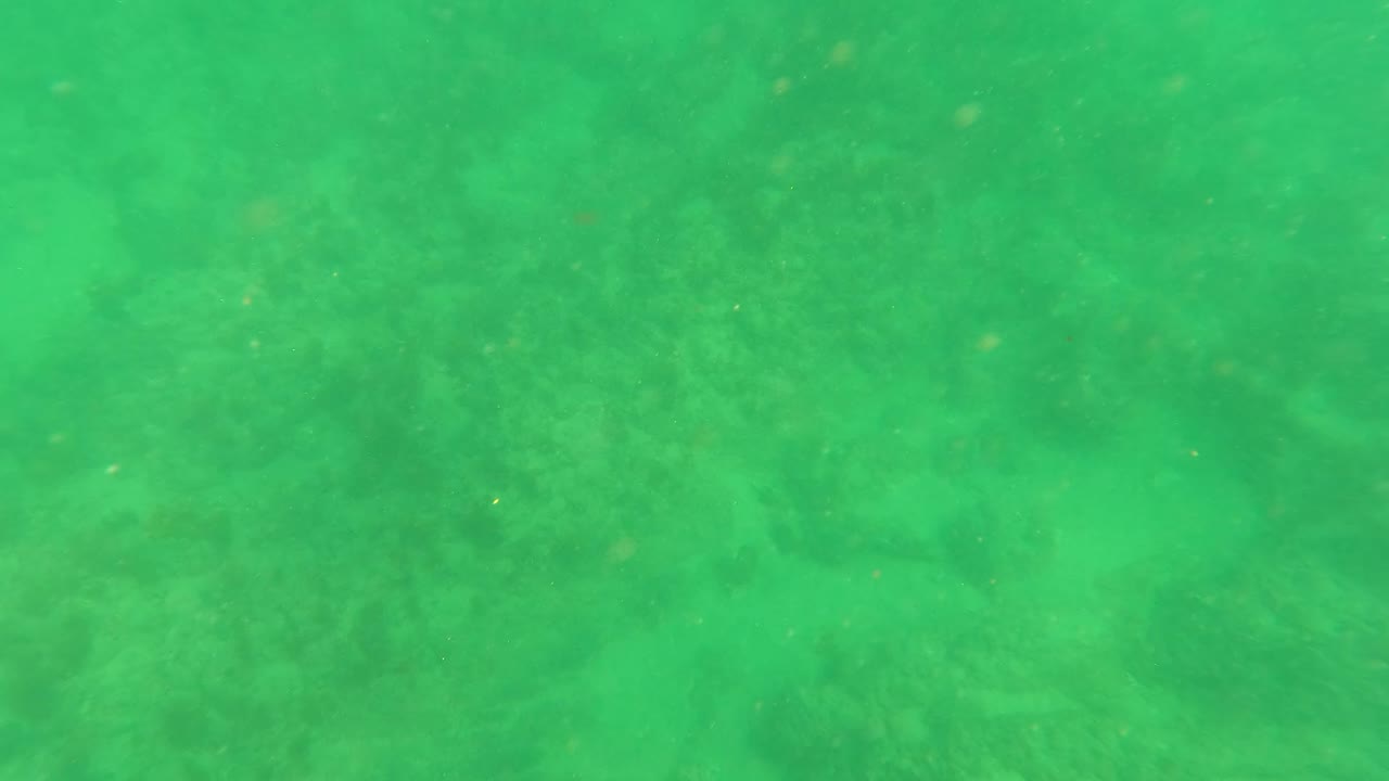 Midpoint frame from the Los Barriles underwater clip, showing darker mottled coral areas beneath green water and no visible people.