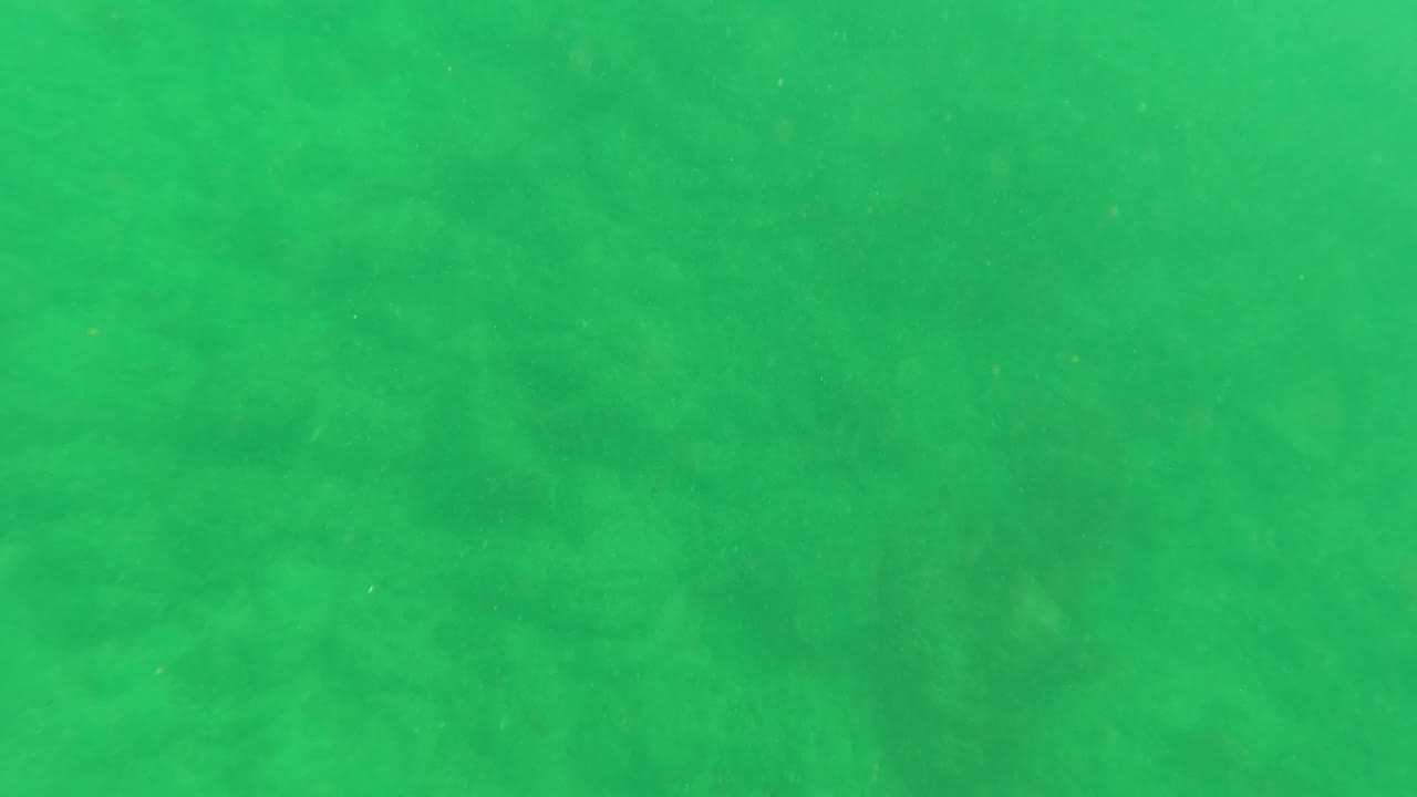 Murky green water above the sandy ocean floor in Los Barriles, Baja California Sur, with faint seabed texture and no visible people.