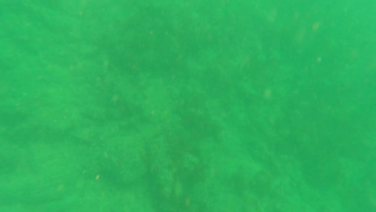 Sandy seabed seen through green underwater haze in Los Barriles, Baja California Sur, with small particles in the water and no visible people.