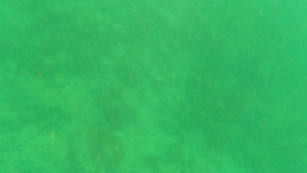 Green underwater frame in Los Barriles, Baja California Sur, showing darker patches across the sandy seabed and no visible people.
