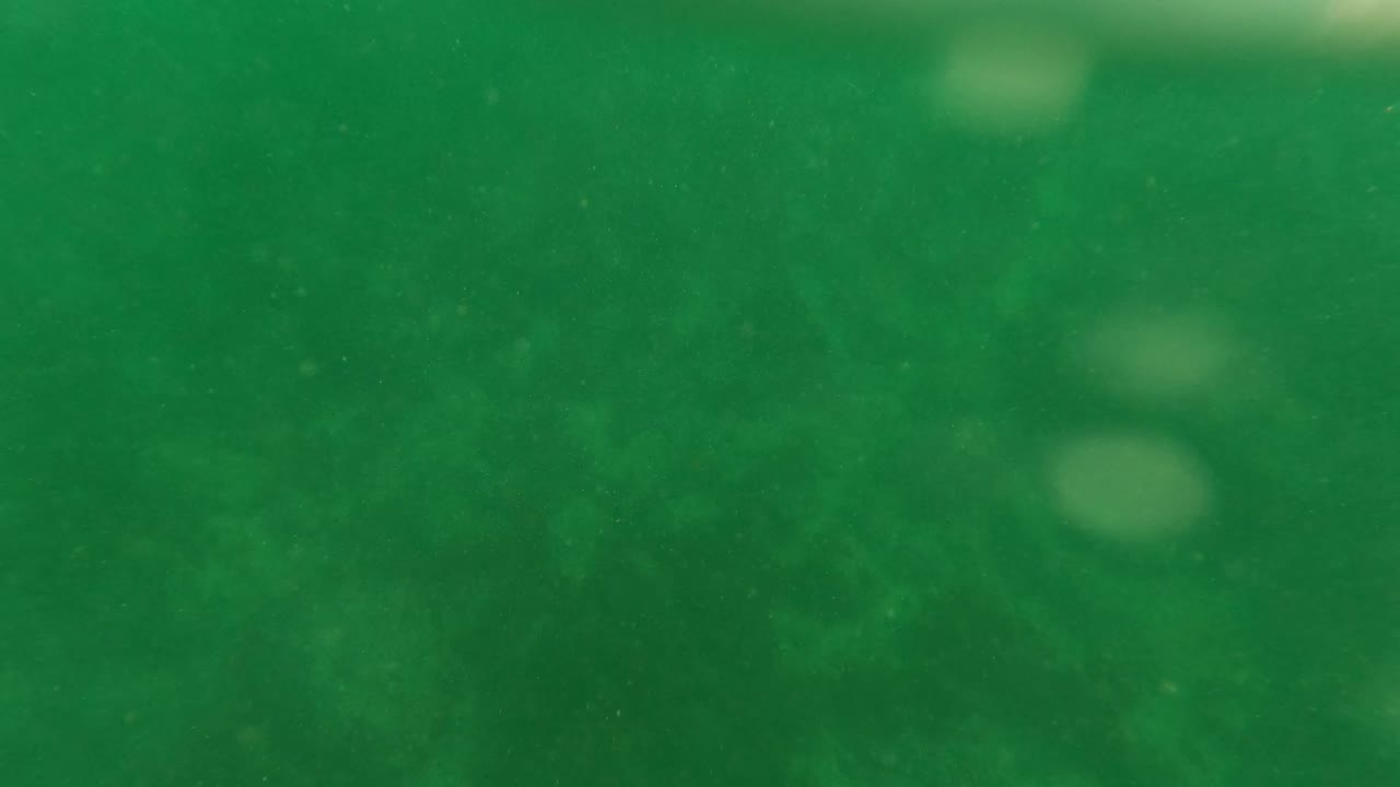 Darker green underwater view in Los Barriles, Baja California Sur, with floating particles, blurred light spots, and no visible people.