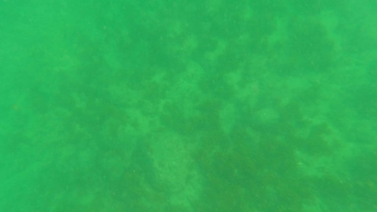 Underwater seabed view in Los Barriles, Baja California Sur, showing green water over sandy and rocky bottom detail with no visible people.