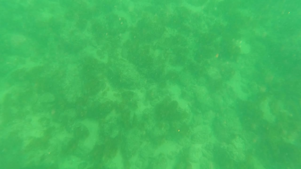 Early underwater frame from Los Barriles, Baja California Sur showing green water over a faint sandy and rocky seabed with no visible people.