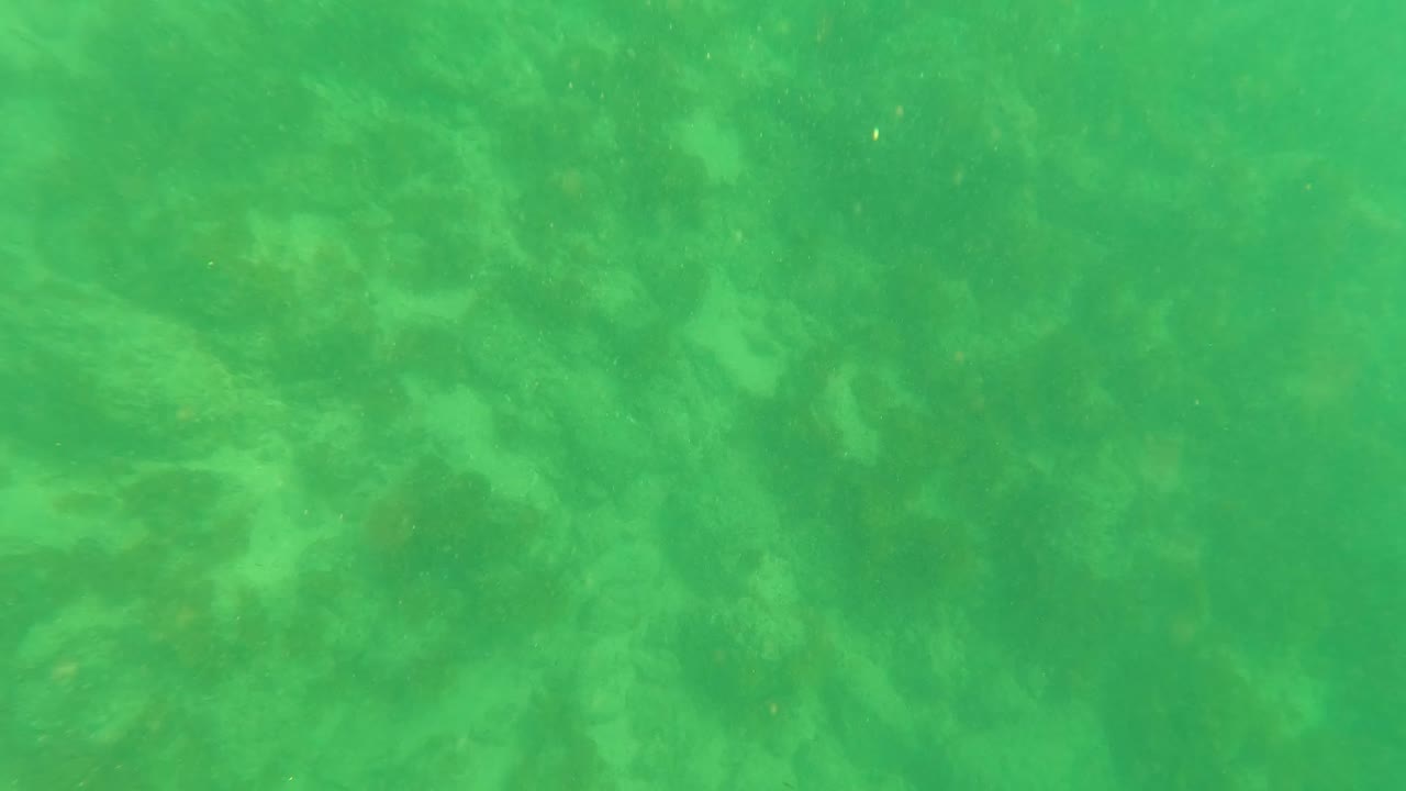 Green water softens a sandy rocky seafloor.