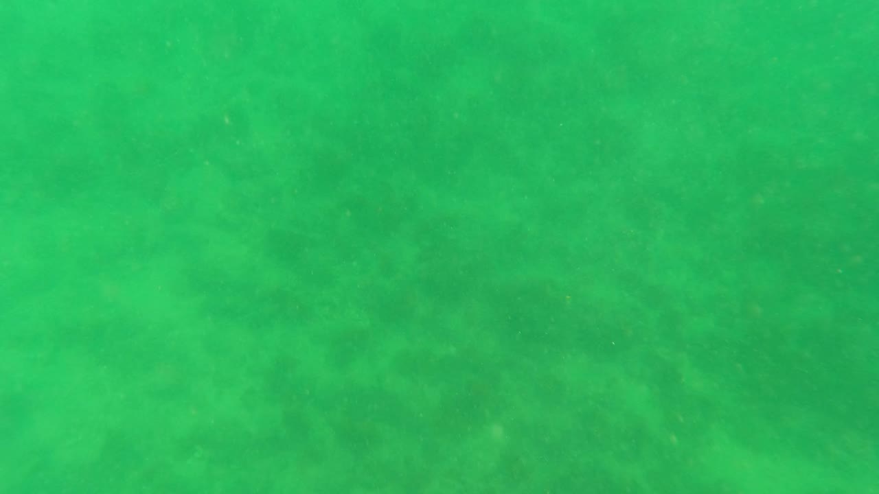 Green seawater fills the frame above a faint seabed texture in Los Barriles, Baja California Sur, with small particles visible and no visible people.
