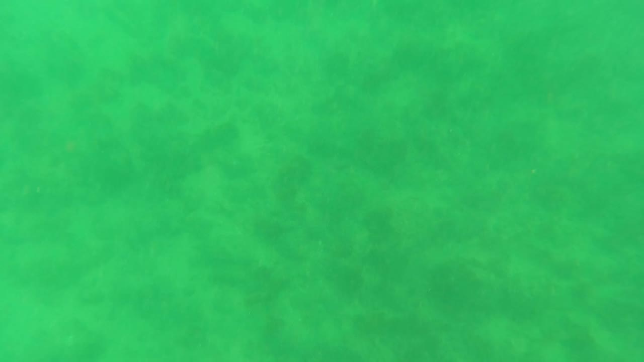 A soft green underwater frame shows cloudy ocean-floor detail in Los Barriles, Baja California Sur, with floating particles and no visible people.