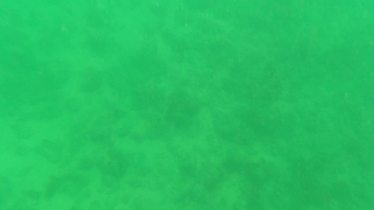 Midway through the clip, green underwater water sits over a muted seabed in Los Barriles, Baja California Sur, with particulate matter and no visible people.