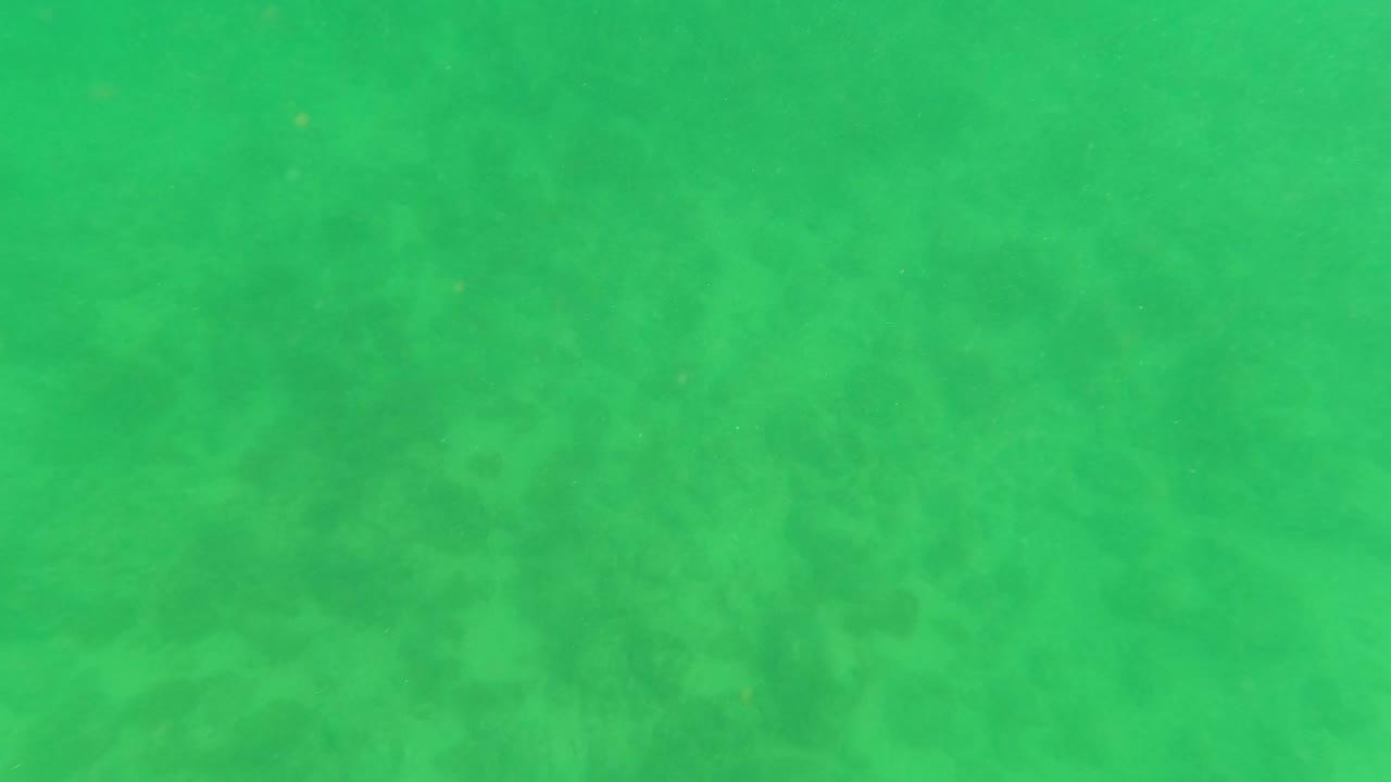 Green-tinted underwater frame from Los Barriles, Baja California Sur, showing a soft seabed texture beneath hazy water with no visible people.