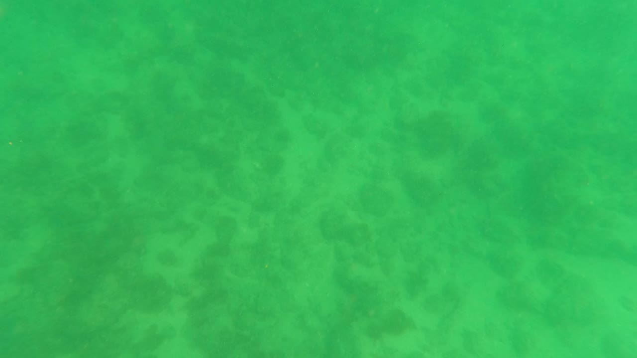Hazy green water above the ocean floor
