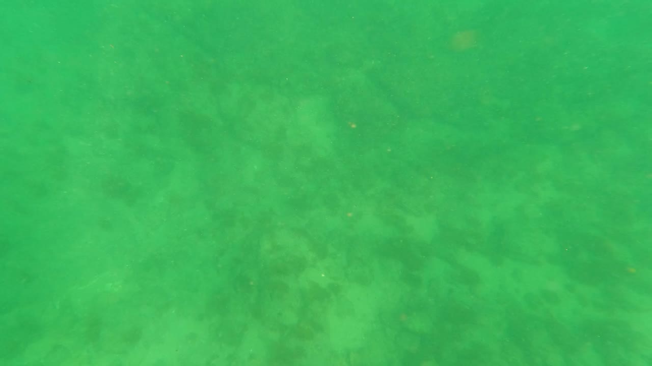 Green underwater view of sandy seabed with faint suspended particles.