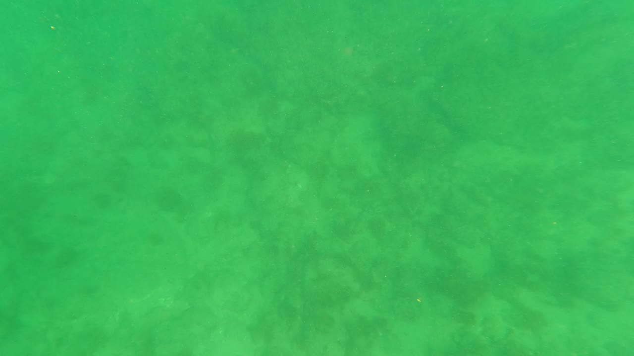 Second underwater frame from Los Barriles, Baja California Sur, with a soft green cast, muted sand pattern, and no visible people.