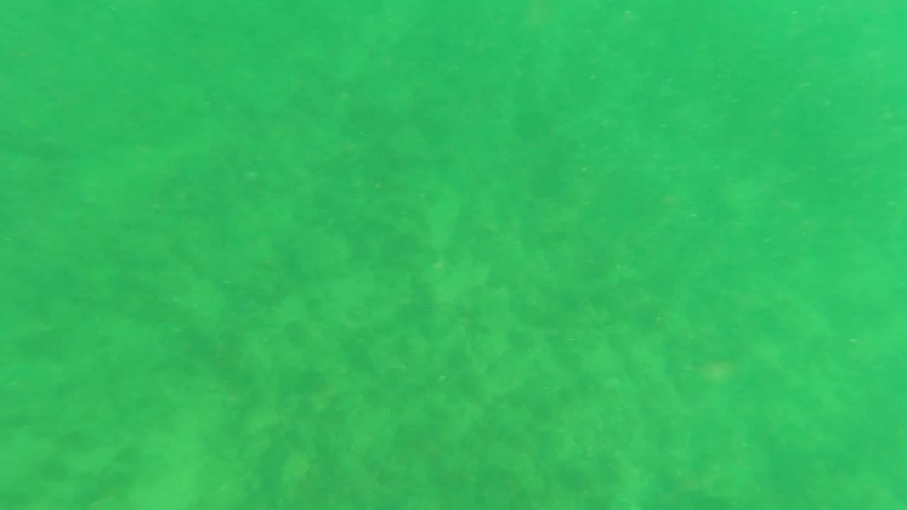 Mid-clip underwater frame from Los Barriles, Baja California Sur, showing faint seabed mottling beneath green water with no visible people.