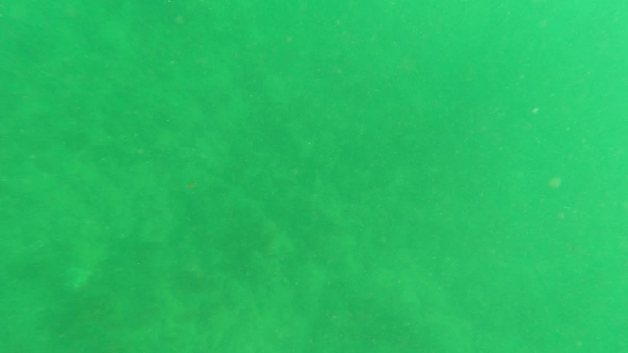 Fourth underwater frame from Los Barriles, Baja California Sur, with the sandy floor slightly more clouded by green water and no visible people.