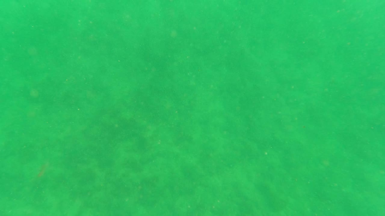 Opening underwater frame in Los Barriles, Baja California Sur, showing green water over a faint sandy seabed with suspended particles and no visible people.