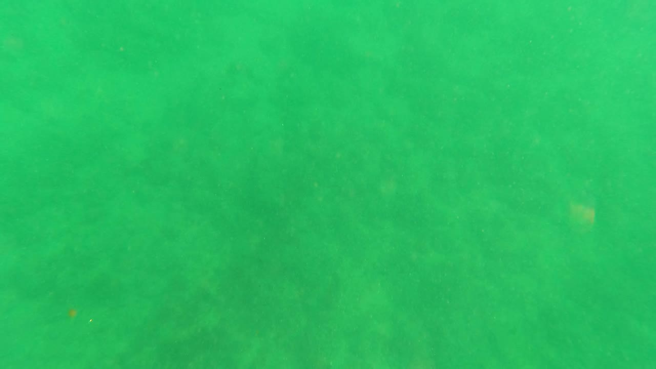 Underwater frame in Los Barriles with green water, faint bottom texture, drifting particles, and no visible people.