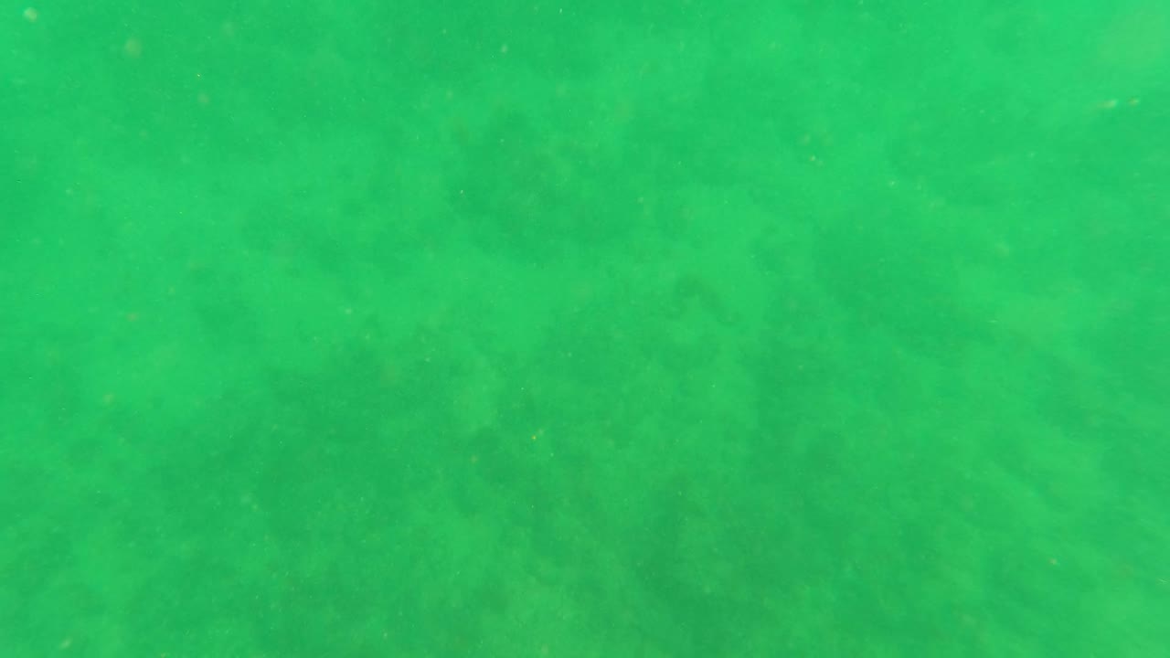 Mid-clip underwater view in Los Barriles showing the sandy bottom through green haze with small particles in the water and no visible people.