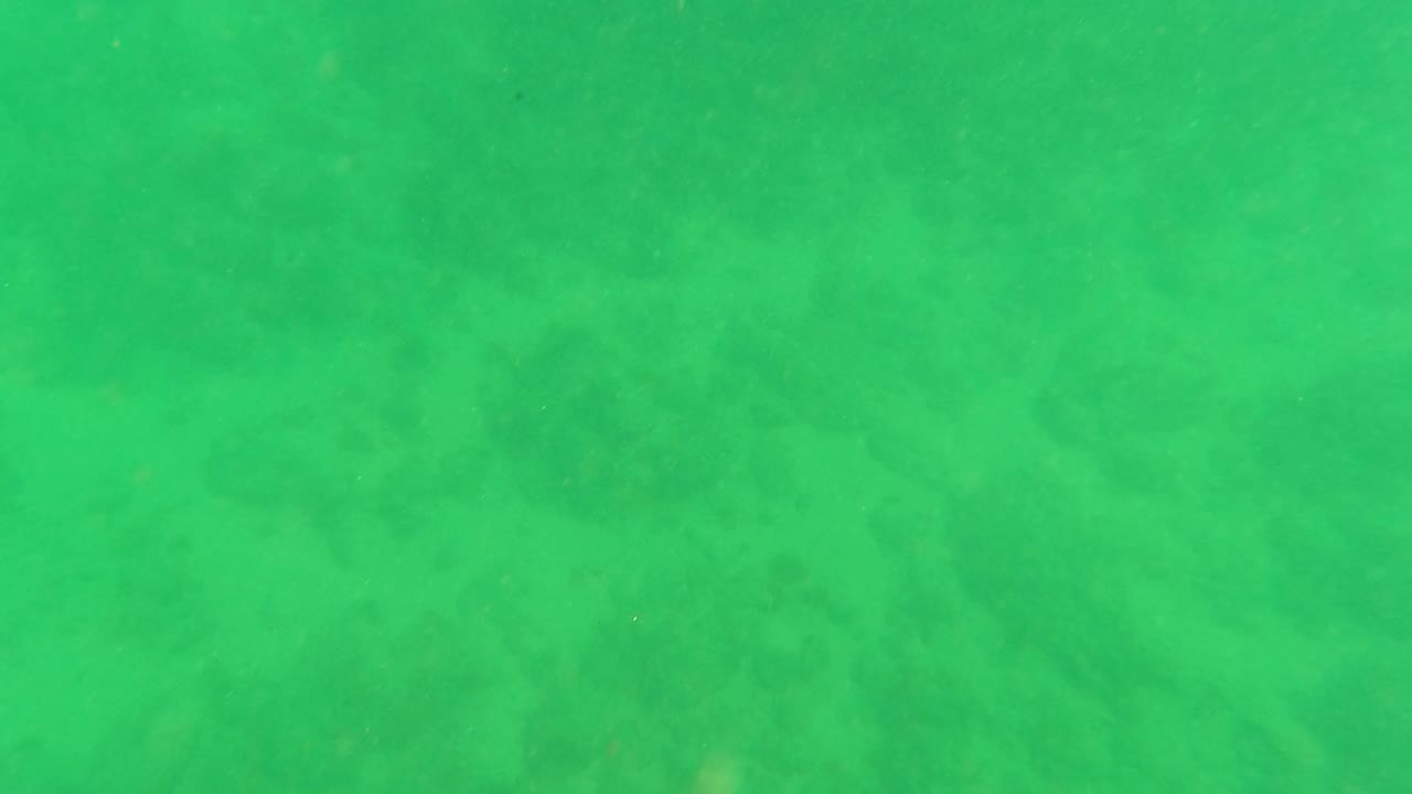 Underwater frame in Los Barriles where mottled sandy seabed texture is visible beneath green water, with no visible people.