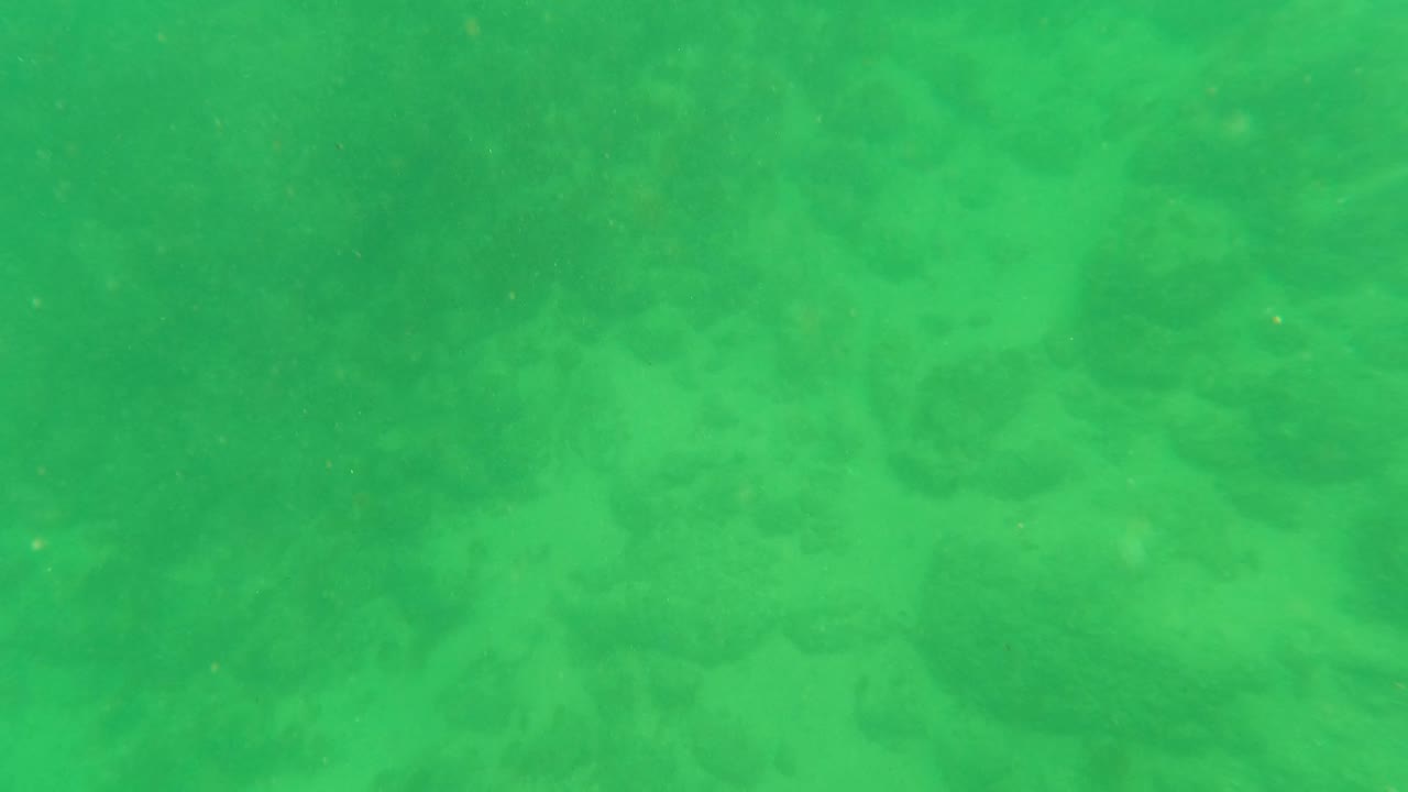Opening underwater frame in Los Barriles, Baja California Sur, showing green clear water over rocks and sand with suspended particles and no visible people.