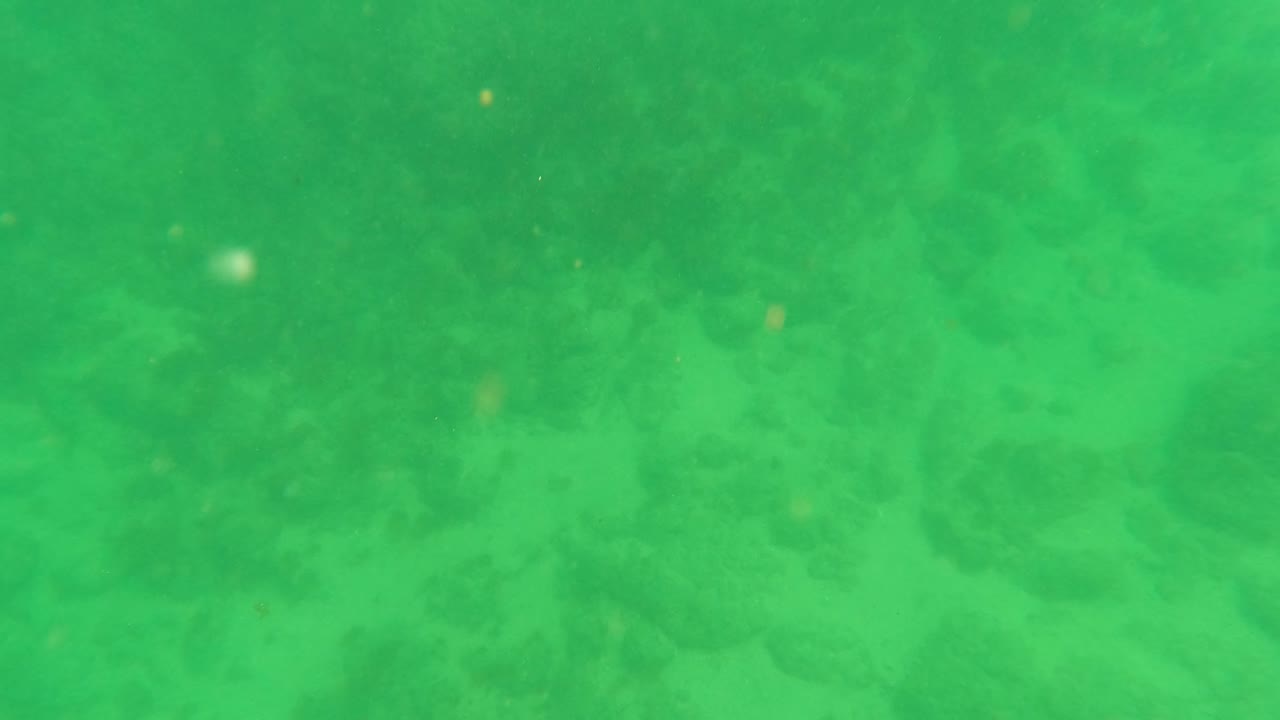 At one second, the Los Barriles underwater view shows the sandy rock bottom through green water with a small dark blue fish shape near the upper right and no visible people.