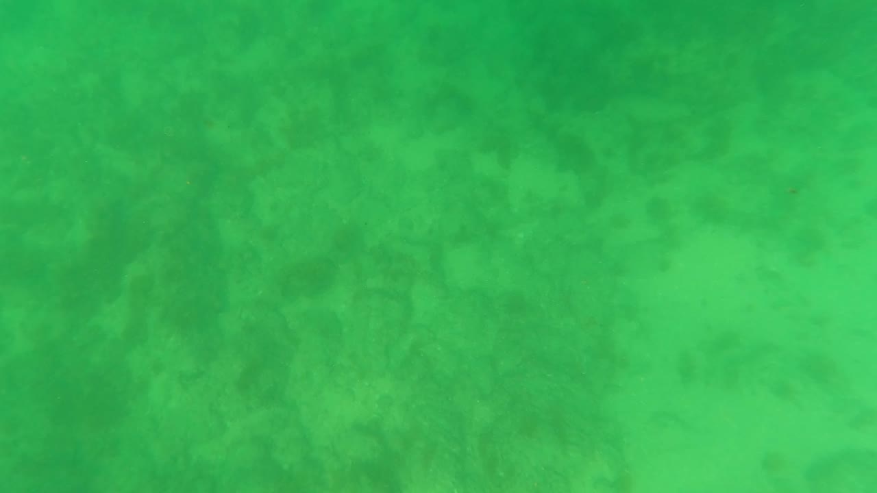 Underwater rocky seabed seen through green water