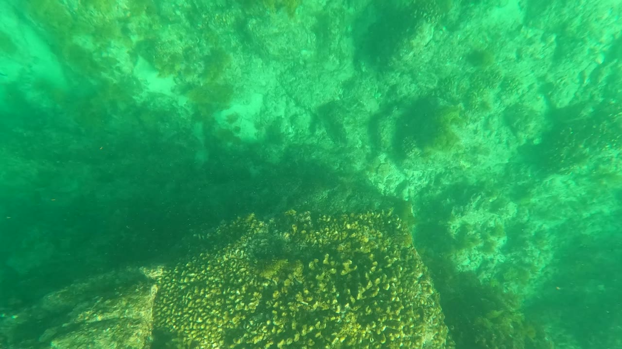 Third frame in Los Barriles, Baja California Sur, showing rocky seabed, scattered coral patches, and darker recessed areas under green water, with no visible people.