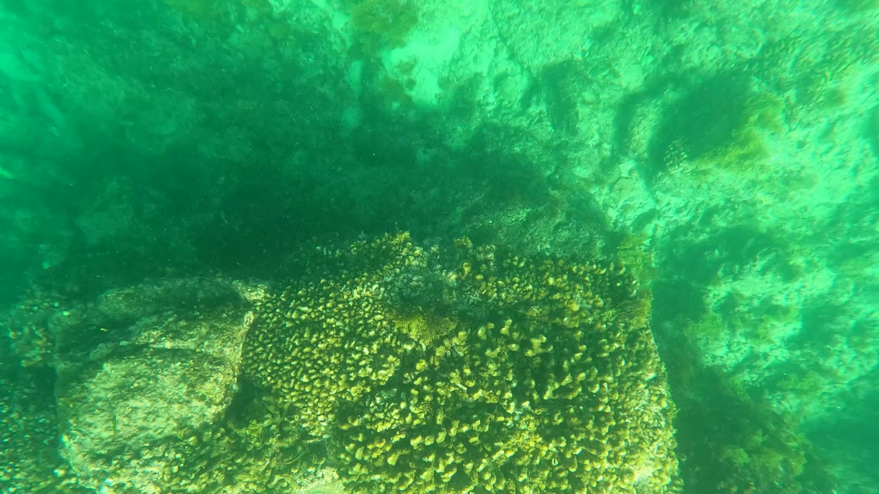 Fourth frame in Los Barriles, Baja California Sur, with a darker reef shadow at left, yellow coral clusters, and pale submerged rock, with no visible people.