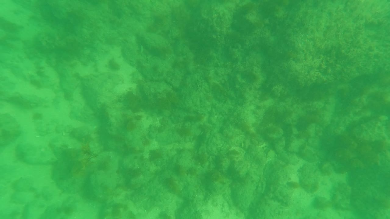 Opening underwater frame in Los Barriles, Baja California Sur, showing green water over a rocky seabed with marine growth and no visible people.