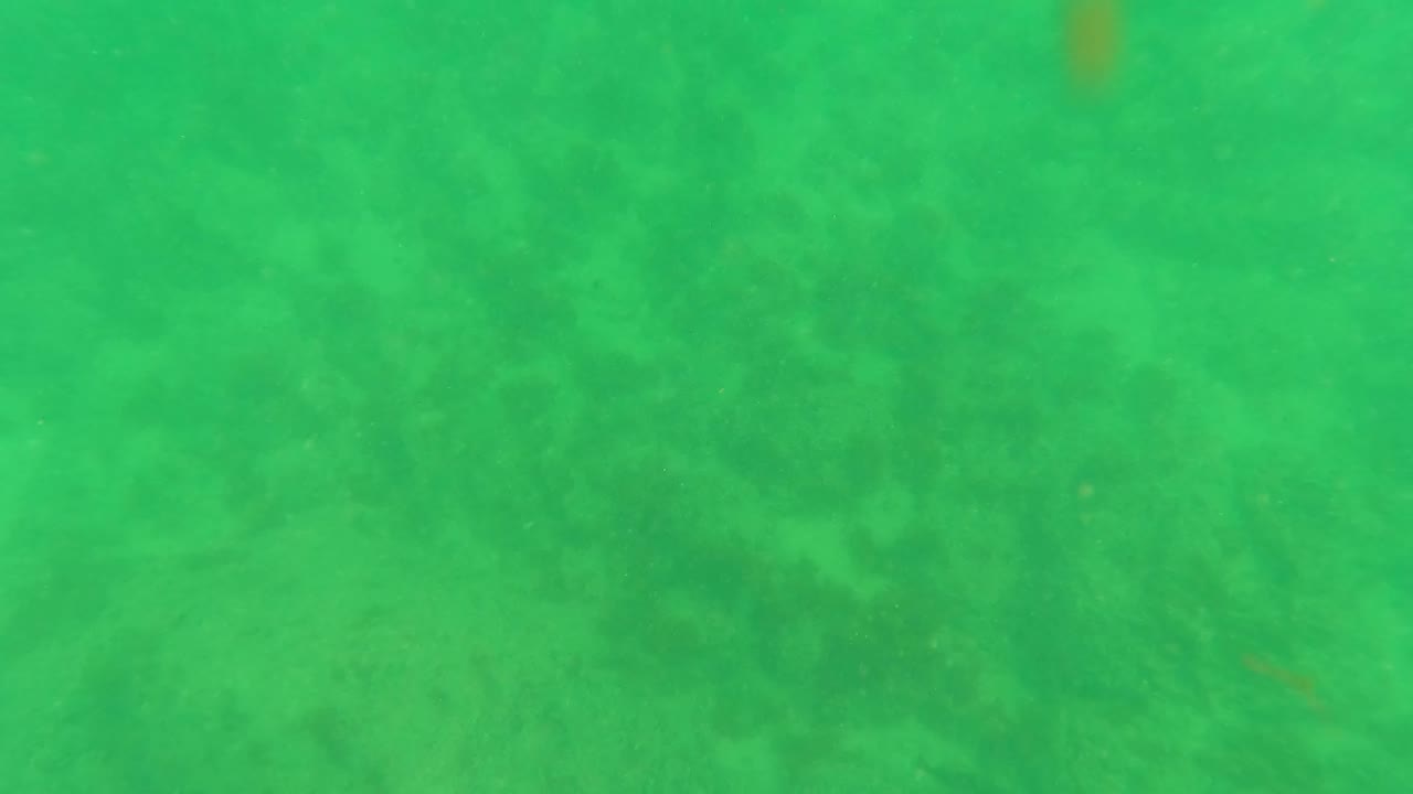 Opening frame of green underwater water over a sandy seabed in Los Barriles, Baja California Sur, with darker bottom patches and no visible people.