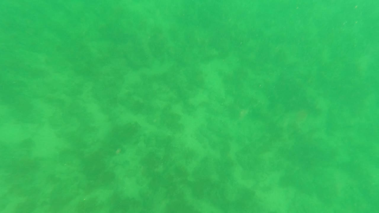 Mid-early frame of the Los Barriles underwater seabed, with green water haze, a sandy bottom, and no visible people or objects.