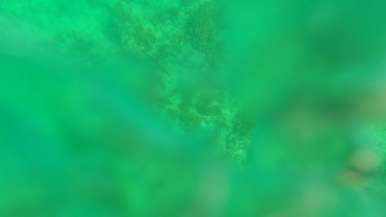 Green-turquoise water in Los Barriles, Baja California Sur, Mexico, reveals a rough rock floor with algae or seaweed patches and no visible people.