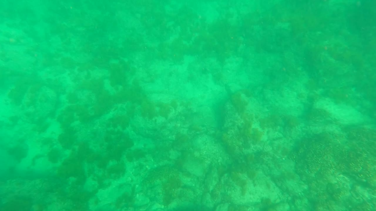 A softer green underwater frame from Los Barriles, Baja California Sur, Mexico, shows blurred rocky formations below the water haze with no visible people.