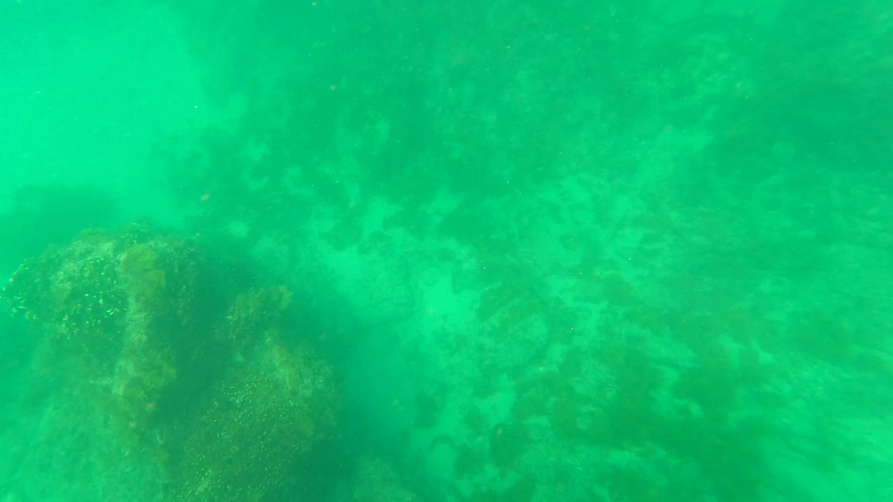 Bright turquoise underwater view in Los Barriles, Baja California Sur, Mexico, with rock shapes and algae or seaweed texture visible across the seabed and no visible people.