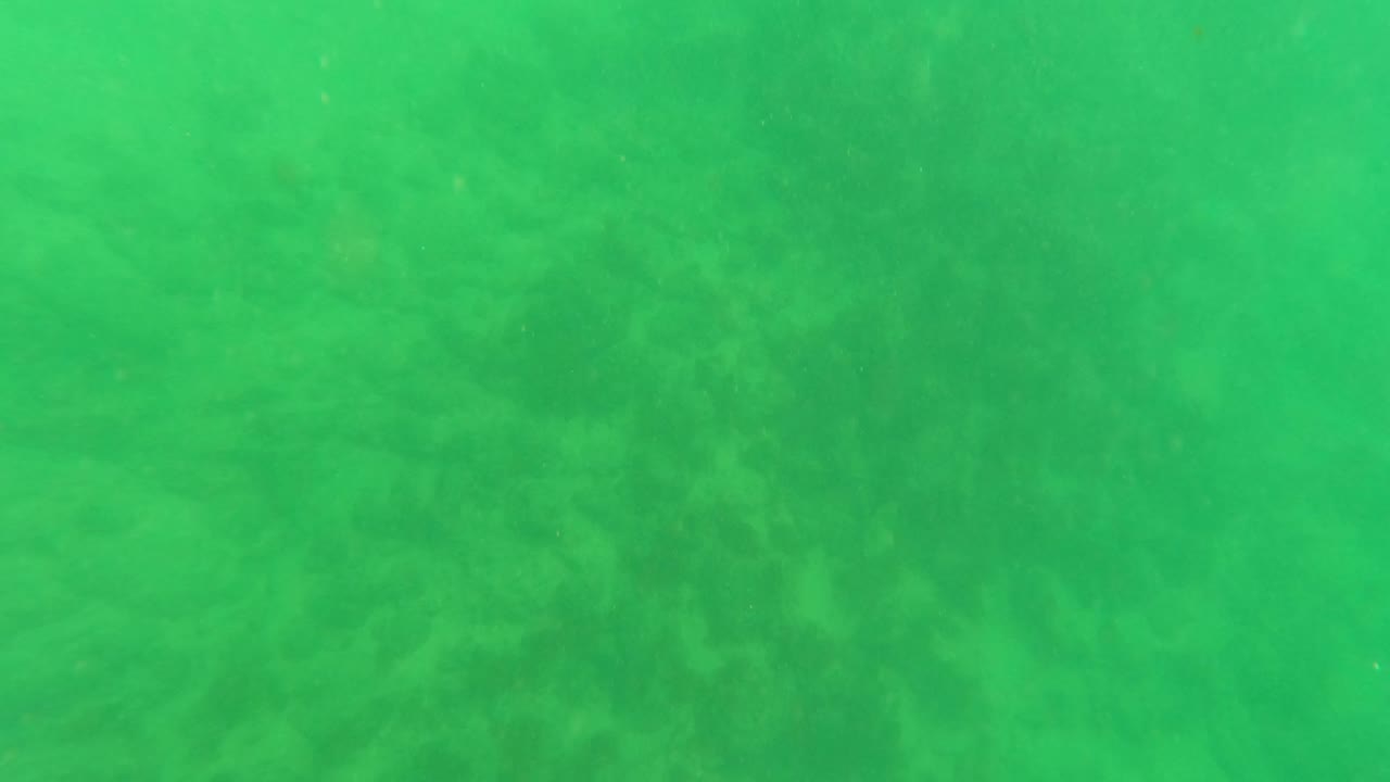 A second moment shows the green underwater scene over muted sand and darker seabed areas in Los Barriles, with no visible people.
