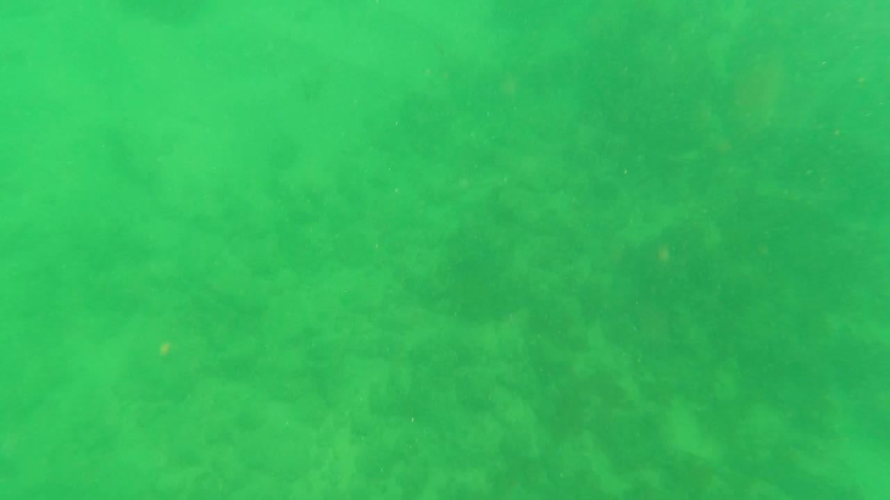 The frame holds on a downward underwater view in Los Barriles, showing green water, sandy bottom, darker floor patches, and no visible people.