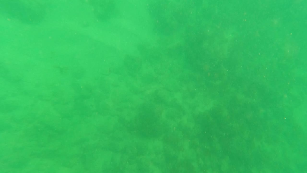 Green underwater frame with sandy bottom and shadowy seabed patches.