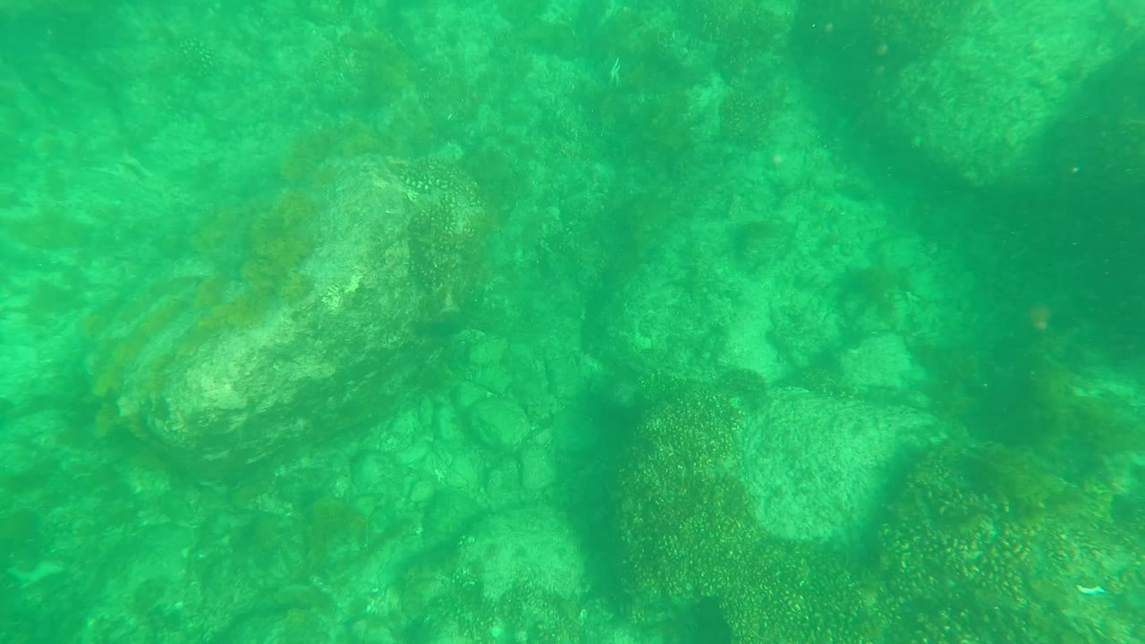 Underwater rocks and giant clam on a green seabed.